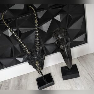Black Decorative Antelope and Bird Skull Sculptures - Home Art